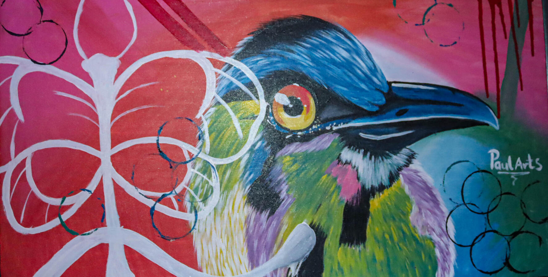 bird