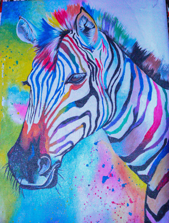zebra